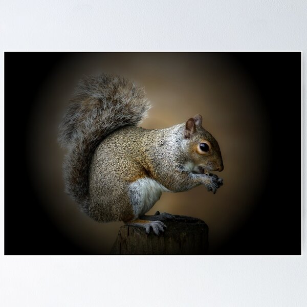 Item preview, The Majestic Squirrel designed and sold by Theonebespoke.