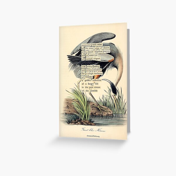 Item preview, Bird Divination: Great blue Heron (almanacofbirds.org) designed and sold by mariapopova.