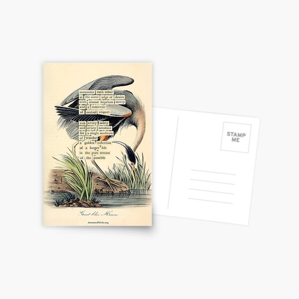 Item preview, Bird Divination: Great blue Heron (almanacofbirds.org) designed and sold by mariapopova.