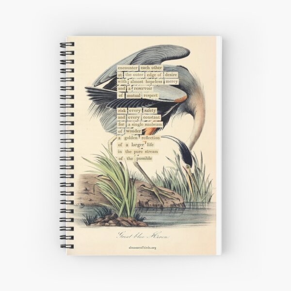 Aperçu de l'œuvre Divination des oiseaux : le grand héron bleu (almanacofbirds.org) créée et vendue par mariapopova.