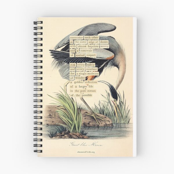 Item preview, Bird Divination: Great blue Heron (almanacofbirds.org) designed and sold by mariapopova.