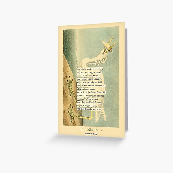 Item preview, Bird Divination: Great White Heron (almanacofbirds.org) designed and sold by mariapopova.