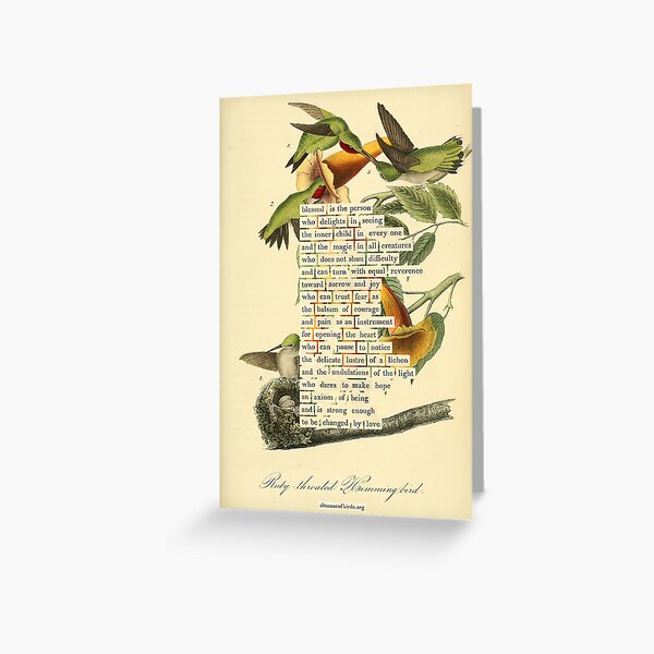 Item preview, Bird Divination: Ruby throated Hummingbird (almanacofbirds.org) designed and sold by mariapopova.
