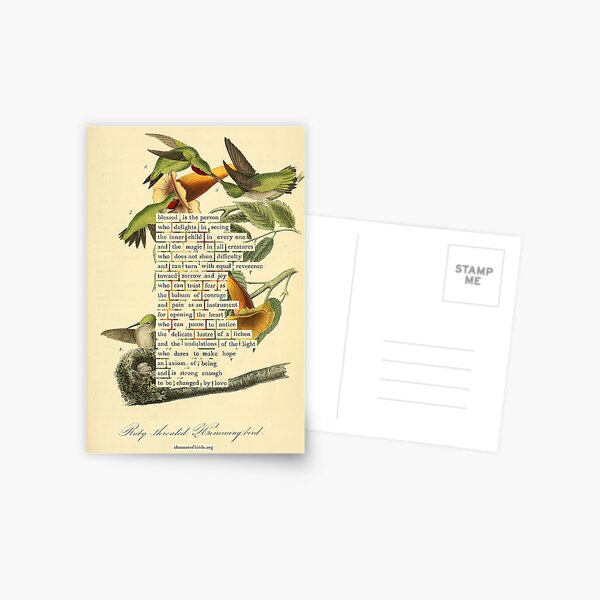 Item preview, Bird Divination: Ruby throated Hummingbird (almanacofbirds.org) designed and sold by mariapopova.