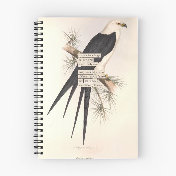 Item preview, Bird Divination: Swallow tailed Kite (almanacofbirds.org) designed and sold by mariapopova.