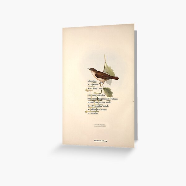 Item preview, Bird Divination: Nightingale (almanacofbirds.org) designed and sold by mariapopova.