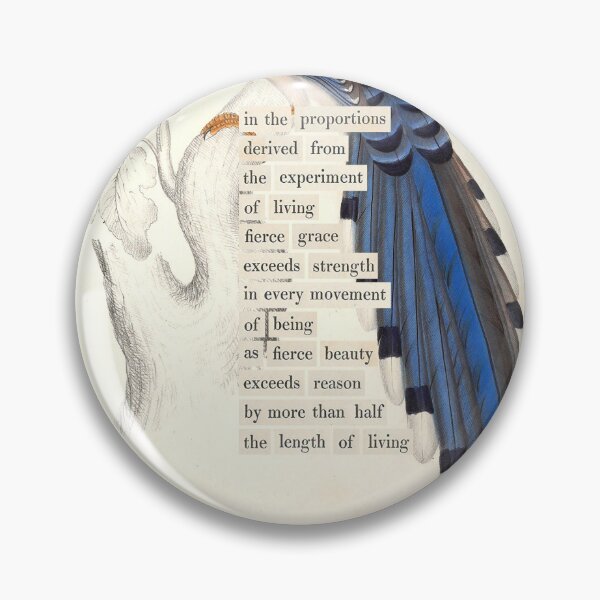 Item preview, Bird Divination: Pica Erythrorhyncha (almanacofbirds.org) designed and sold by mariapopova.