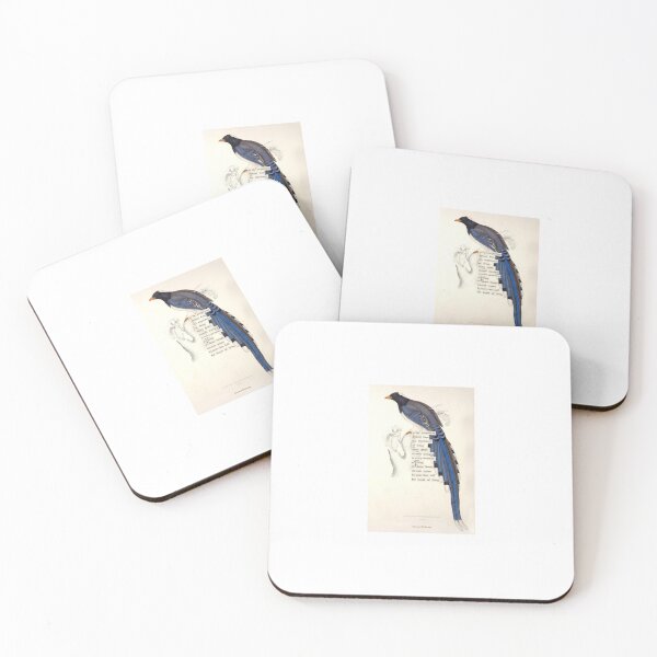 Item preview, Bird Divination: Pica Erythrorhyncha (almanacofbirds.org) designed and sold by mariapopova.