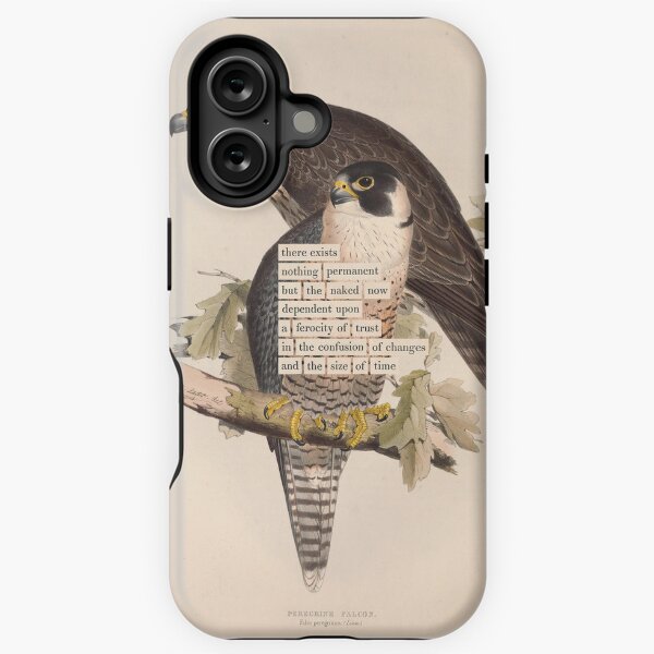 Item preview, Bird Divination: Peregrine Falcon (almanacofbirds.org) designed and sold by mariapopova.