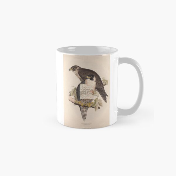 Aperçu de l'œuvre Divination des oiseaux : le faucon pèlerin (almanacofbirds.org) créée et vendue par mariapopova.