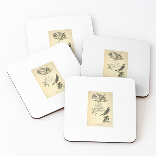 Item preview, Bird Divination: Pigeon Falcon (almanacofbirds.org) designed and sold by mariapopova.