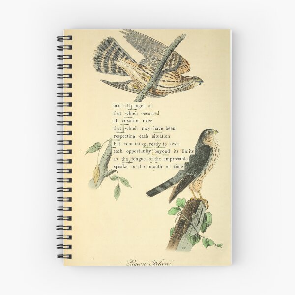Item preview, Bird Divination: Pigeon Falcon (almanacofbirds.org) designed and sold by mariapopova.