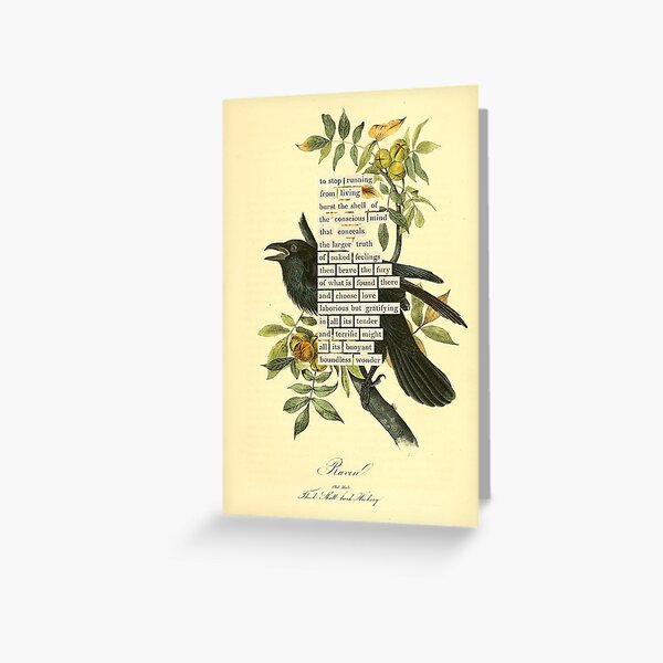 Item preview, Bird Divination: Raven (almanacofbirds.org) designed and sold by mariapopova.