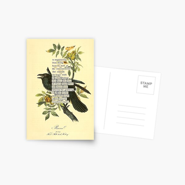 Item preview, Bird Divination: Raven (almanacofbirds.org) designed and sold by mariapopova.