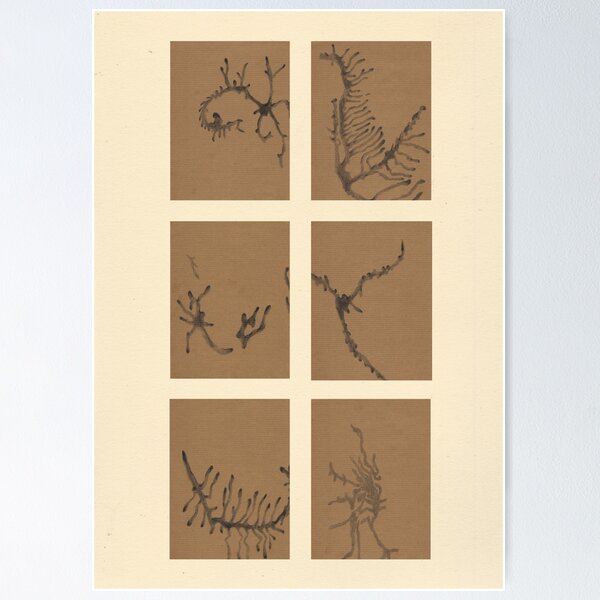 Item preview, Bark Beetle Paths Drawings designed and sold by fishboii.