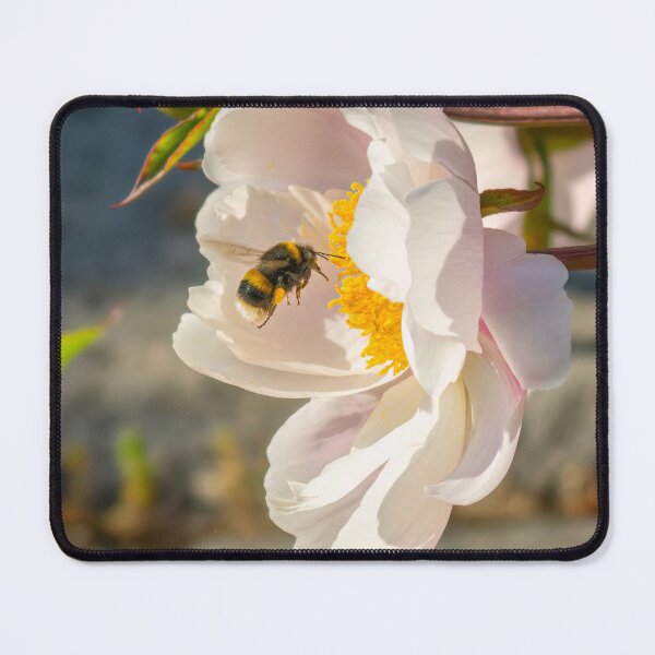 Item preview, Buff-tailed bumblebee and peony designed and sold by Lakadaisy.