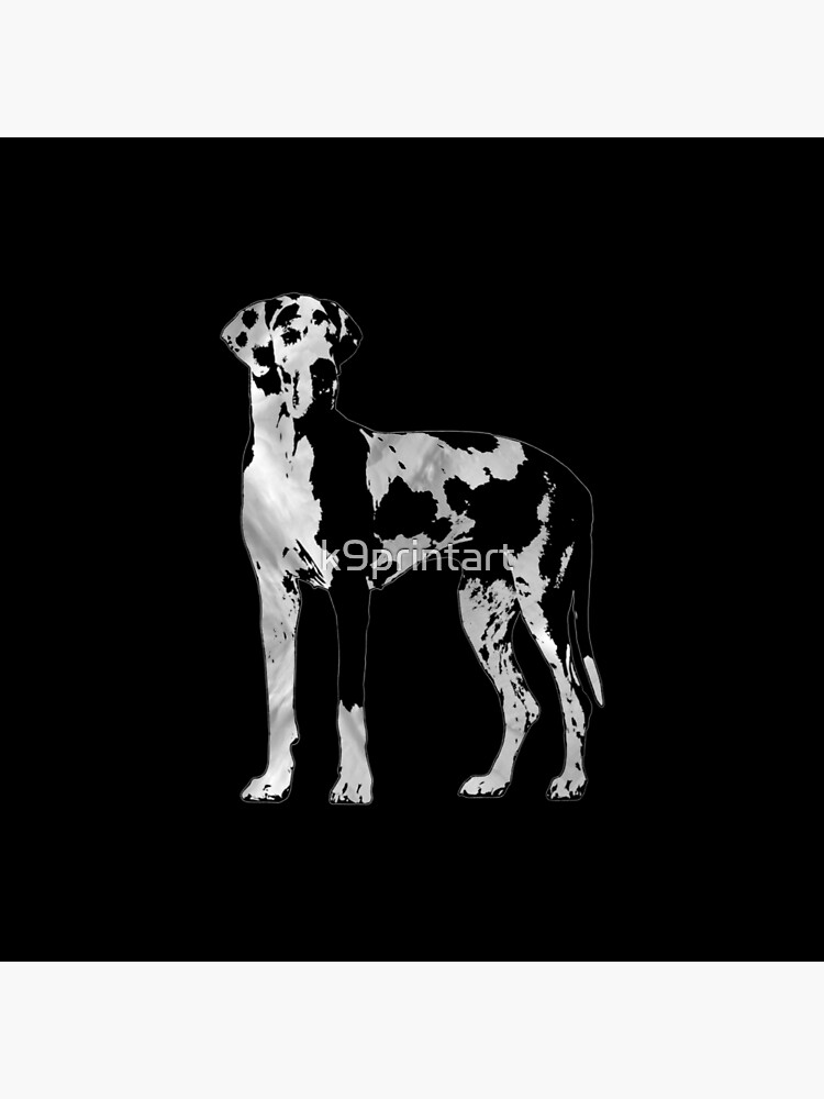 silver harlequin great dane