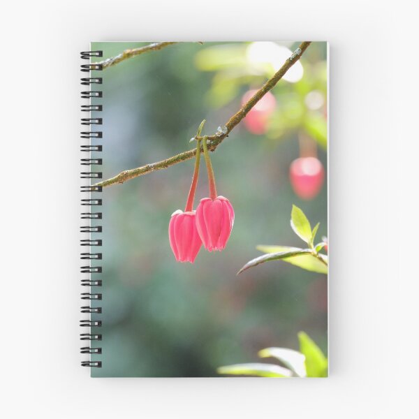 Item preview,  " When Hearts Entwine " designed and sold by Richard Couchman.