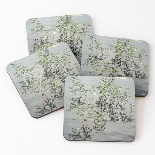 Item preview, Aquatic plant designed and sold by felipequeiroz.