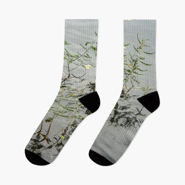 Item preview, Aquatic plant designed and sold by felipequeiroz.