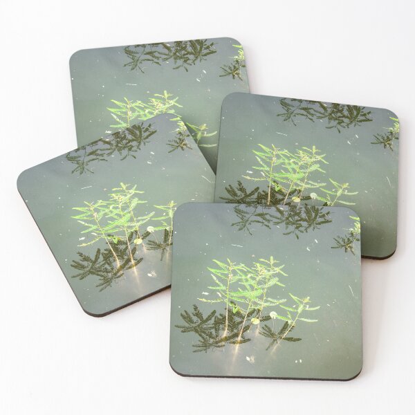 Item preview, plant in a river designed and sold by felipequeiroz.