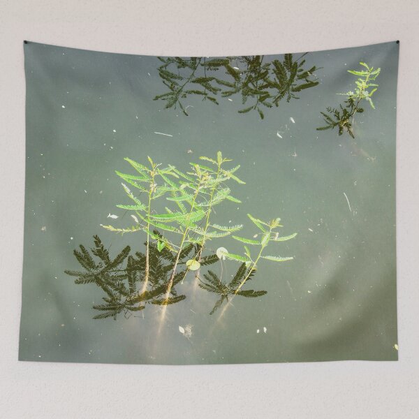 Item preview, plant in a river designed and sold by felipequeiroz.