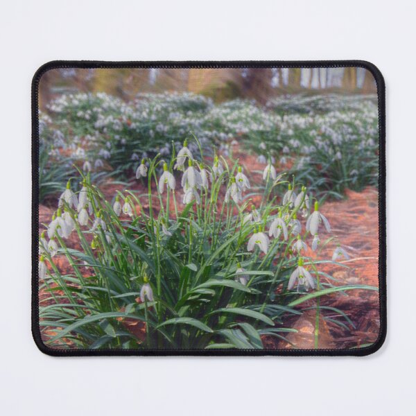 Item preview, Woodland Snowdrops designed and sold by Beverley Barrett.