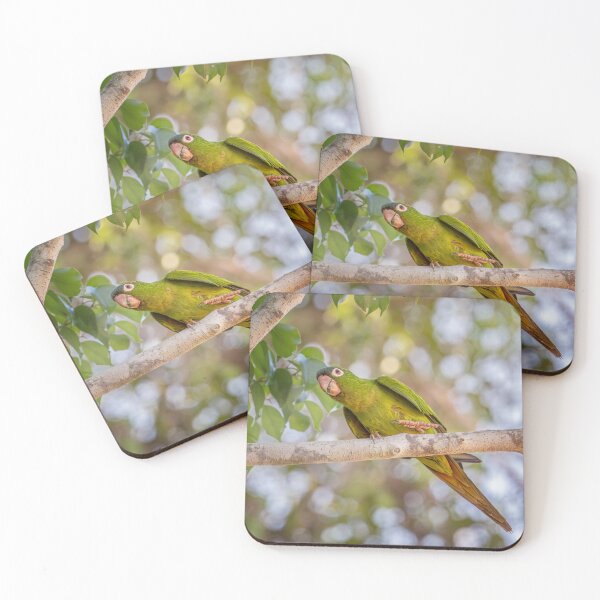 Item preview, Blue Crowned Parakeet Pantanal Brazil designed and sold by PhotoArt by Joan Carroll.