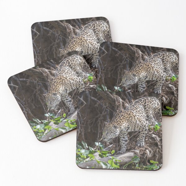 Item preview, Jaguar in the Pantanal Brazil designed and sold by PhotoArt by Joan Carroll.