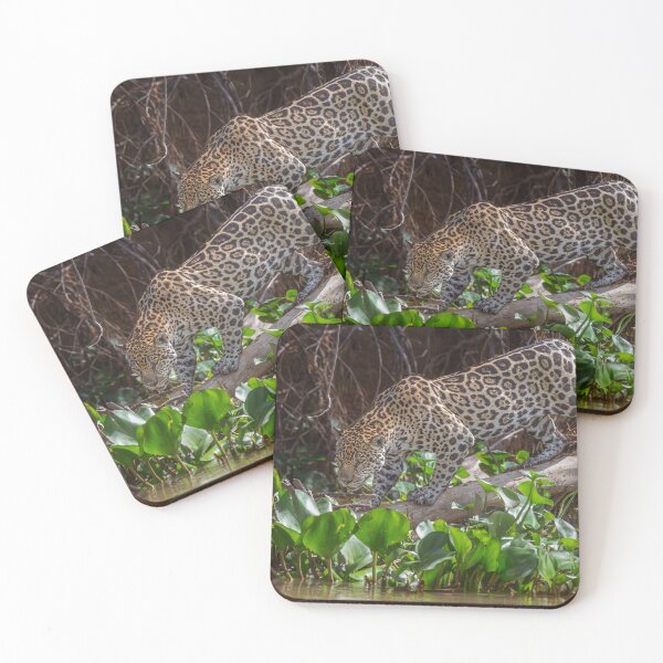 Item preview, Jaguar on the Prowl 4 Pantanal Brazil designed and sold by PhotoArt by Joan Carroll.