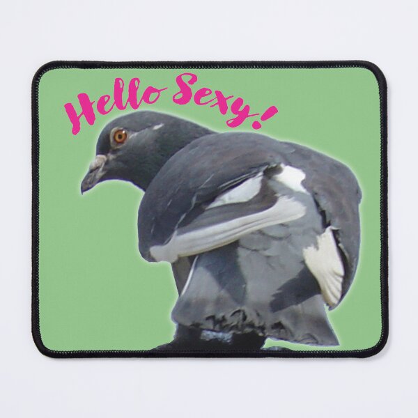 Item preview, Pigeon doing a double take... Hello Sexy! designed and sold by WordyDreams.