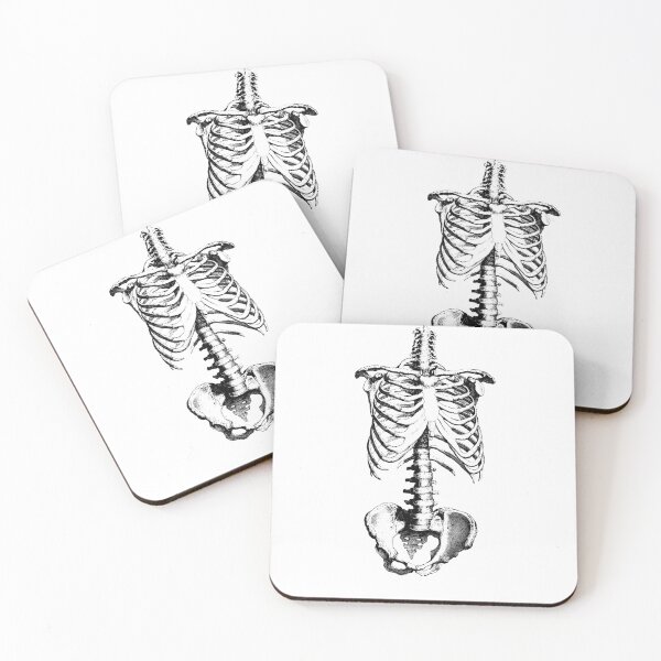 Item preview, Sleleton drawing of ribs, torso and pelvis designed and sold by headpossum.