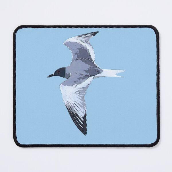 Item preview, Swallow-tailed Gull Flying Color Design designed and sold by designsasstultd.