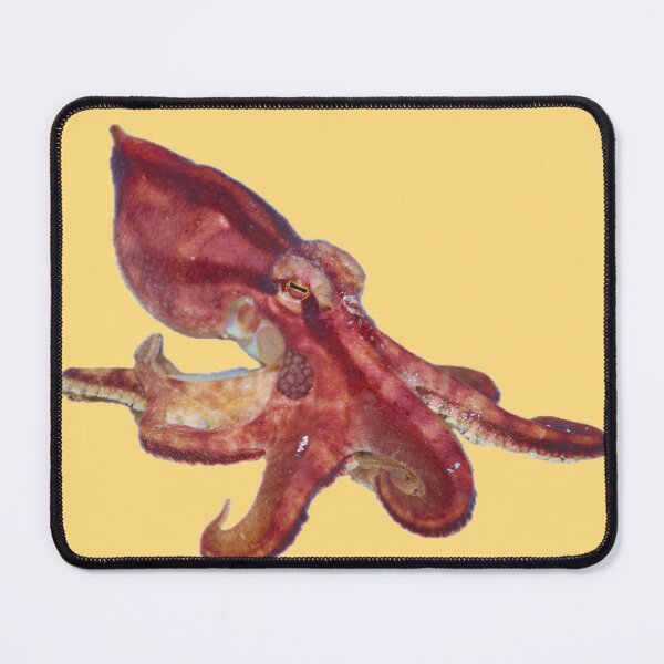 Item preview, Magnificent octopus designed and sold by ScubaPrincesss.