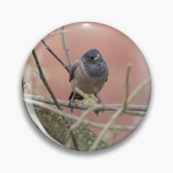 Item preview, Rosy Coloured Starling designed and sold by LaurenTucker.