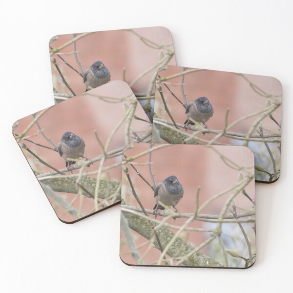 Item preview, Rosy Coloured Starling designed and sold by LaurenTucker.