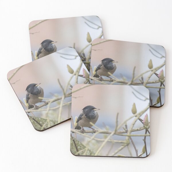 Item preview, Rosy Coloured Starling designed and sold by LaurenTucker.