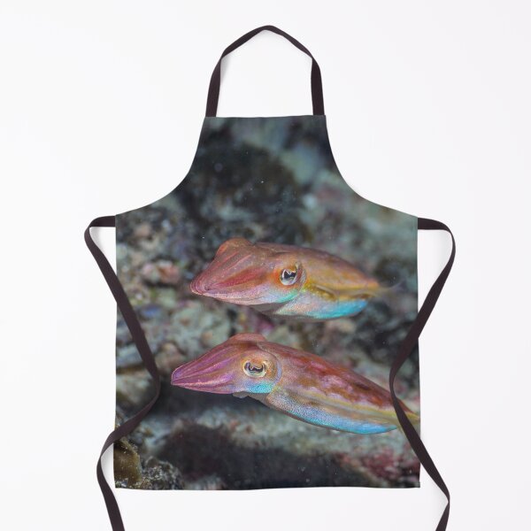 Item preview, Cuttlefish couple designed and sold by ScubaPrincesss.