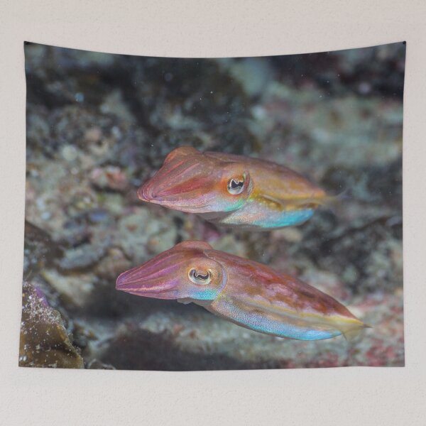 Item preview, Cuttlefish couple designed and sold by ScubaPrincesss.