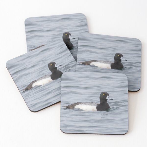 Item preview, Greater Scaup designed and sold by LaurenTucker.