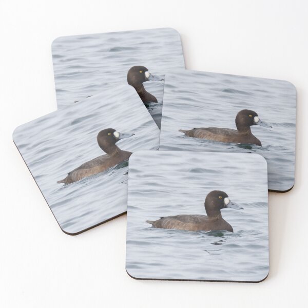 Item preview, Greater Scaup designed and sold by LaurenTucker.
