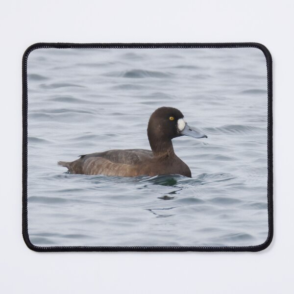 Item preview, Greater Scaup designed and sold by LaurenTucker.