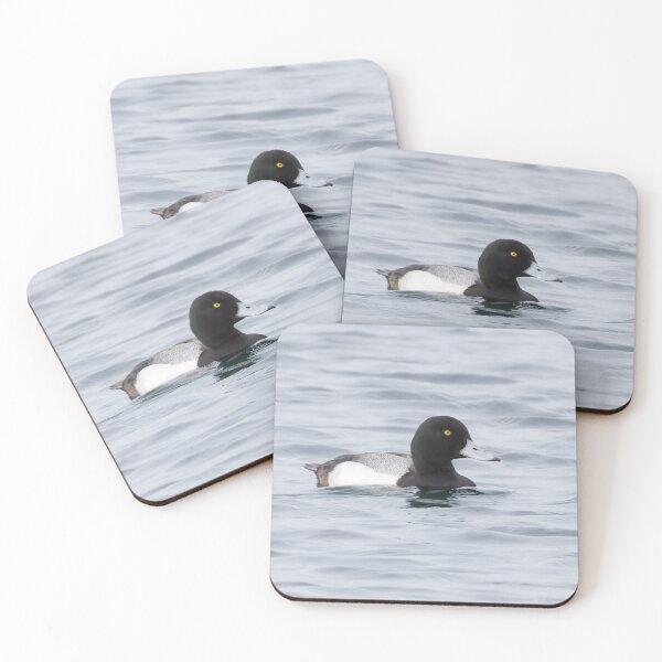 Item preview, Greater Scaup designed and sold by LaurenTucker.