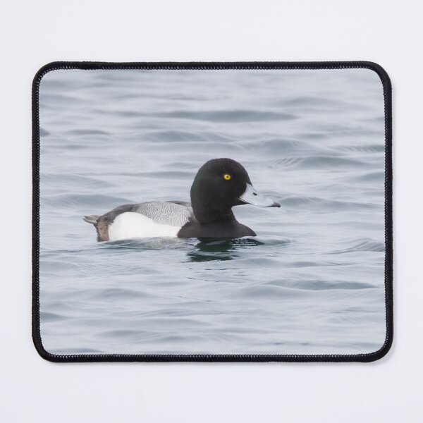 Item preview, Greater Scaup designed and sold by LaurenTucker.