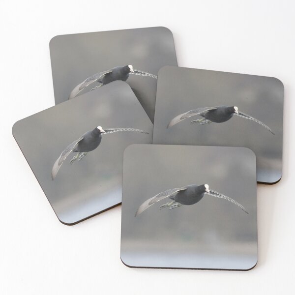 Item preview, Eurasian Coot designed and sold by LaurenTucker.