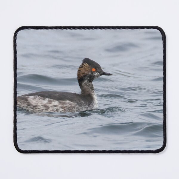 Item preview, Black Necked Grebe designed and sold by LaurenTucker.