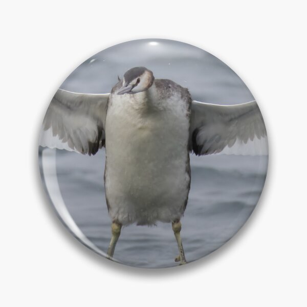 Item preview, Great Crested Grebe designed and sold by LaurenTucker.
