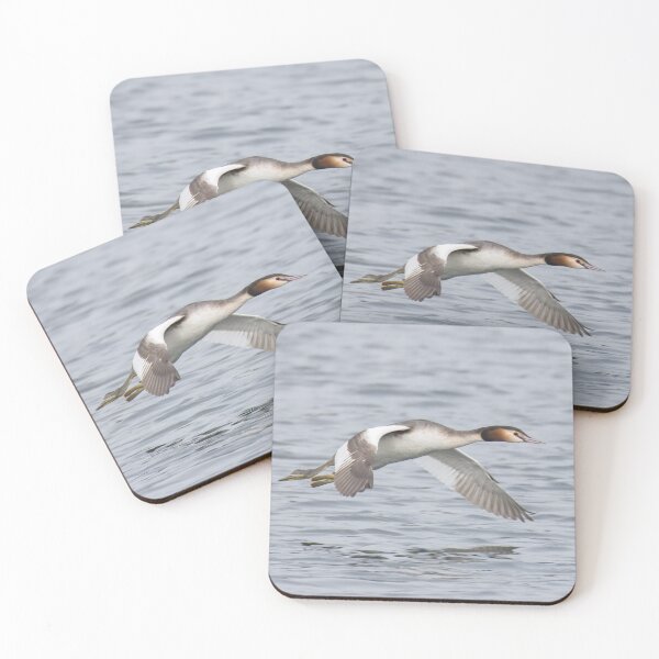 Item preview, Great Crested Grebe designed and sold by LaurenTucker.