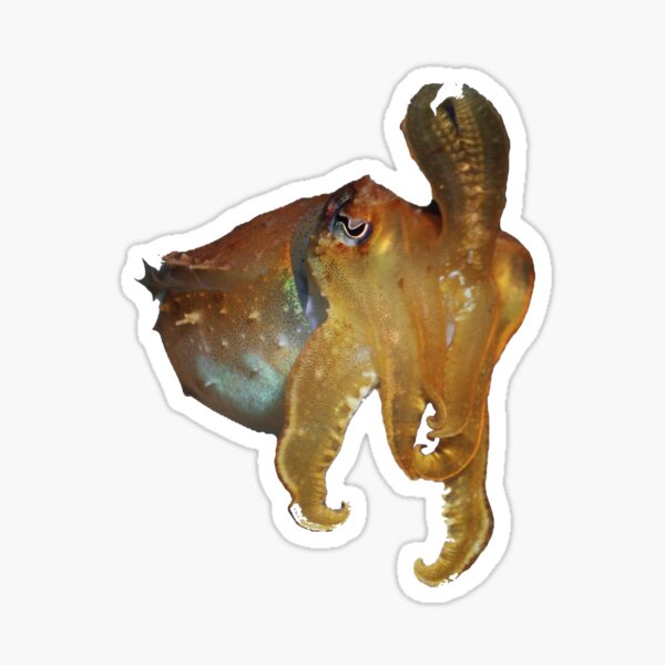 Item preview, Dramatic Yellow Cuttlefish designed and sold by ScubaPrincesss.