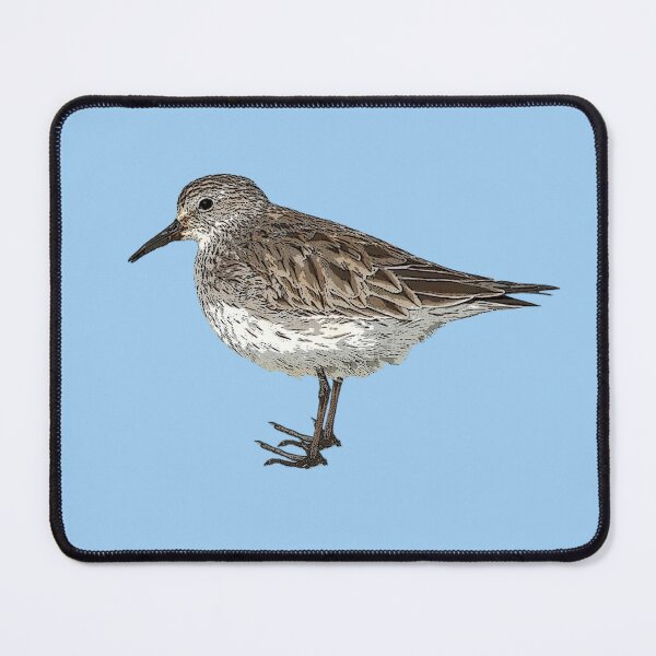 Item preview, White-rumped Sandpiper Color Design  designed and sold by designsasstultd.